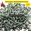 Washing Machine Screw - Self Tapping Washing Machine Screw 1/2 " UNIVERSAL WASHING MACHINE SCREW